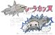 シーラカンス